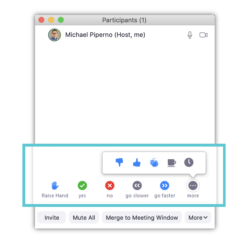 Zoom Nonverbal Communication Features